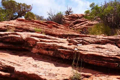 Red desert Stock Photos