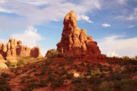 Red desert Stock Photos