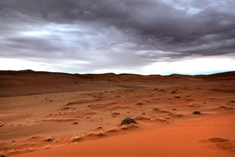 Red desert Stock Photos