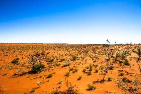Red Desert Foto stock
