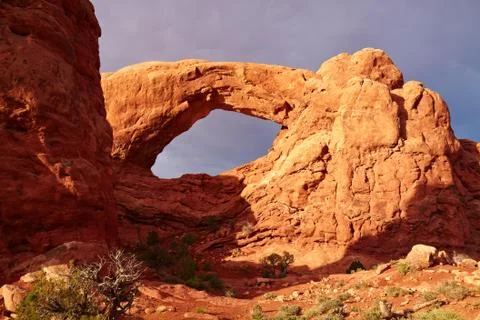 Red desert at sunset Stock Photos