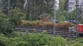 Red Diesel Shunt Locomotive Maneuver Station Yard Zone Train Passing Low Speed HD Footage