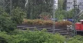 Red Diesel Shunt Locomotive Maneuver Station Yard Zone Train Passing Low Speed 4k or 4k+ Resolution