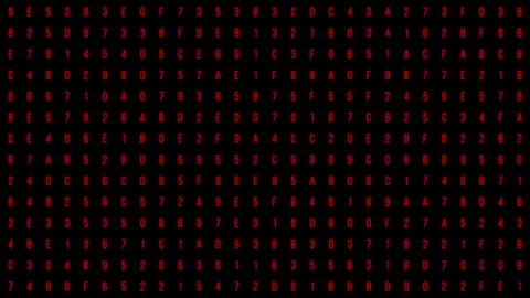 Red Digital Matrix with Scrolling Code Animation on Black Background Stock Footage 297755285