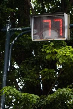 Red Digital Traffic Countdown Timer Displaying Number 77 for Road Intersect.. Stock Photos