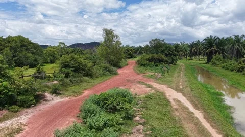 Red dirt path winds through lush green fields Stock Footage 344806721