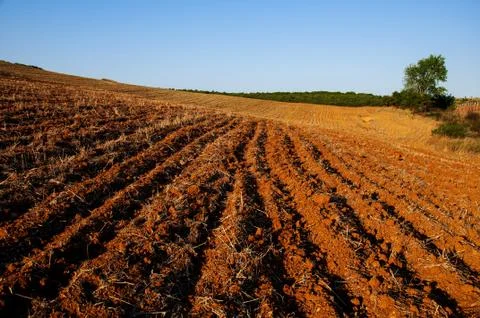 Red dirt Stock Photos