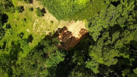 Red Dirt Road in Forest – Dense Tropical Landscape Stock-Footage 337817784