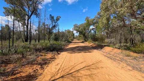 Red Dirt Road Through Australian Outback Scrub and Eucalyptus Forest Video stock 345013642