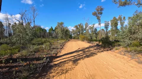 Red Dirt Road Through Eucalyptus Scrub in Pilliga Forest Stock Footage 345014661