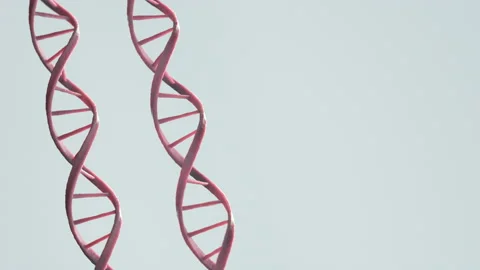 Red DNA 3D model Stock Footage 140612287