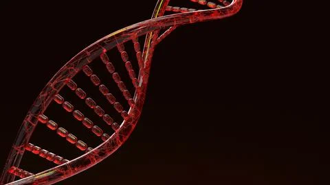 Red Dna 3d rendering on black background for science content. Stock Illustration