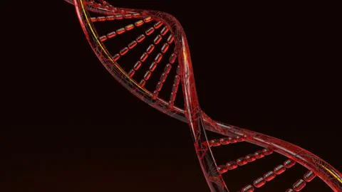 Red Dna 3d rendering on black background for science content. Stock Illustration