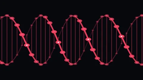 Red DNA Helix Rotating on Black Background Stock Footage 341776787