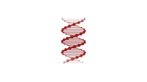 Red DNA Helix Rotating on White Background Video stock 341776774
