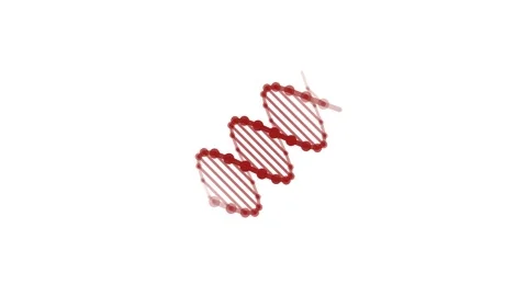 Red DNA Helix Rotating On White Background Video stock 341776794