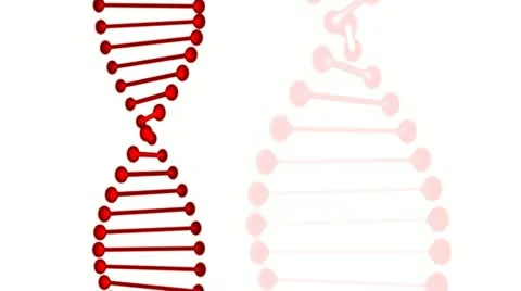 Red DNA rotating on white Stock Footage 11358572