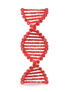 Red DNA Strand Double Helix Representation for Science and Biology イラスト素材