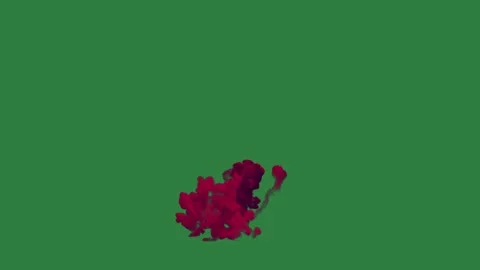 Red dot flower bunch of flowers Stock Footage 336053541