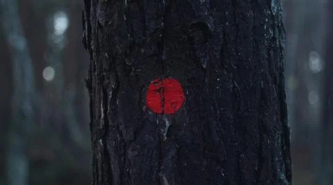 Red dot 스톡 사진