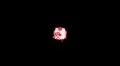 Red dot sparkle sprite static center screen w alpha channel HD Footage