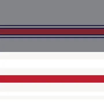 Red Double Striped seamless pattern design Illustrazione stock