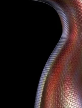 Red dragon background Illustrazione stock