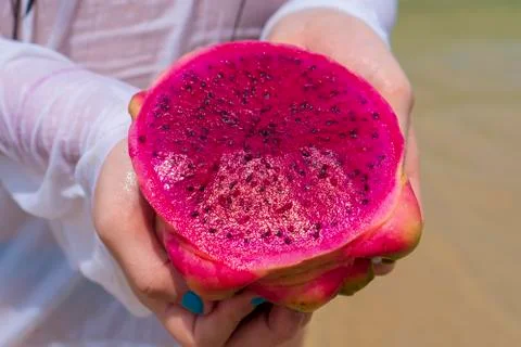 Red dragon fruit in the hands Fotos Stock