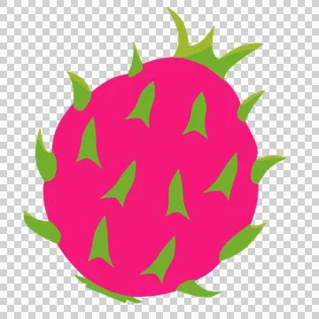 Red dragon fruit Ilustración de archivo