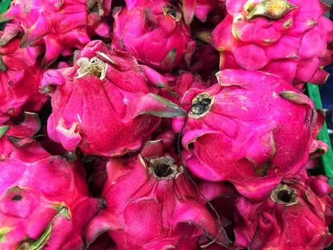 Red dragon fruit Stock Photos