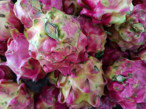 Red Dragon Fruit Foto stock