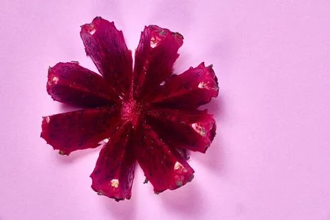 Red dragon fruit Set with appetizing serving on pink background. Top view Stock Photos