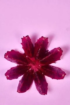 Red dragon fruit Set with appetizing serving on pink background. Top view Stock Photos