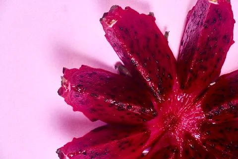 Red dragon fruit Set with appetizing serving on pink background. Top view Stock Photos