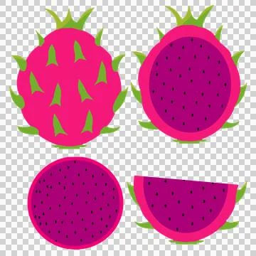 Red dragon fruit set summer fruit 스톡 일러스트