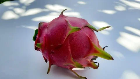 Red Dragon Fruit on white background 01 Stock Photos