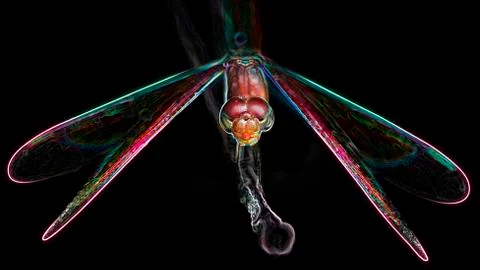 Red dragonfly on its perch, macro photo, digital neon light effect Stock Illustration