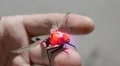 Red Dragonfly robot drone robotic glowing spy gadget HD Footage
