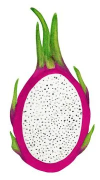Red dragonfruit with white pulp isolated Stock Illustration