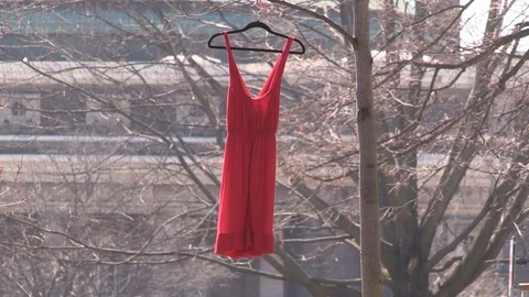 Red dresses hang from trees in memory of... | Stock Video | Pond5