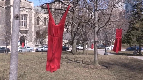 Red dresses hang from trees in memory of missing and murdered aboriginal women Stock Footage 73757866