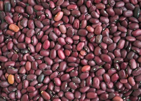 Red dried beans, texture, background. Stock Photos