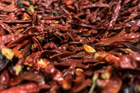 Red dried chile pepper. Fotos de archivo