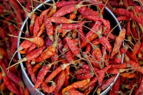Red dried chilli Stock Photos