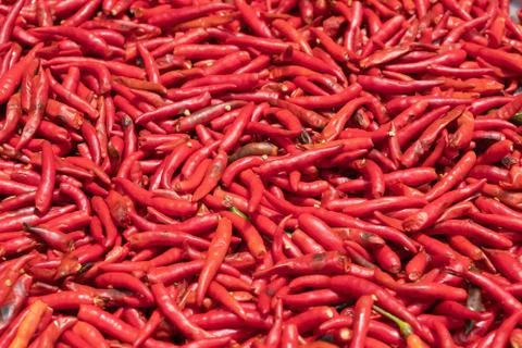 Red dried chilli Stock Photos
