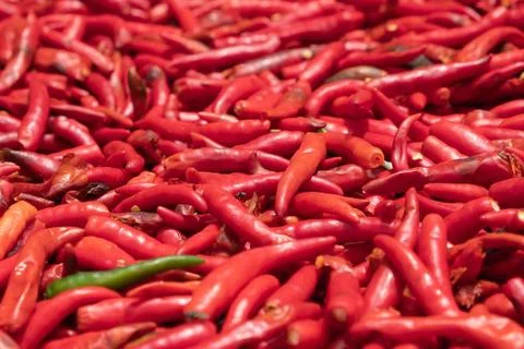 Red dried chilli Stock Photos