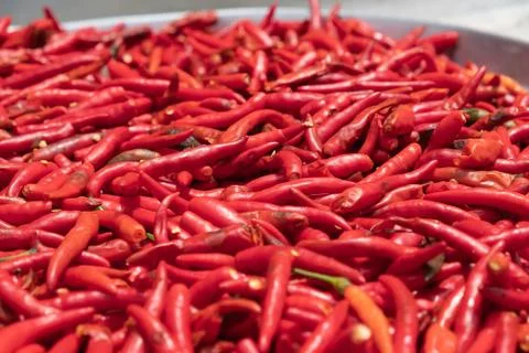 Red dried chilli Stock Photos