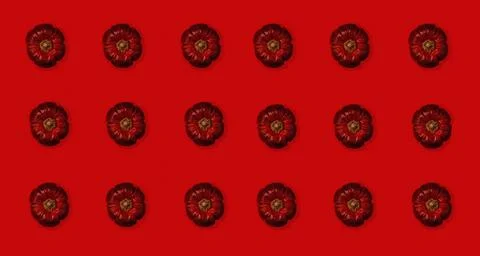 Red dried fruit on red background, monochrome collage Stock Illustration