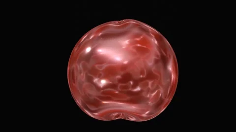 Red drop animation isolated on black background Stock Footage 282372183