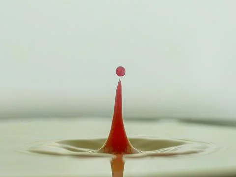 Red drop in milk Stock Photos